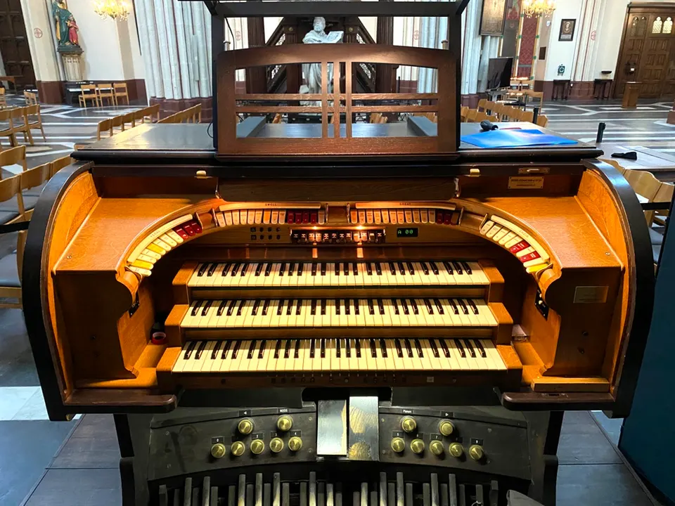 Bingen, Basilika St. Martin (2/4)